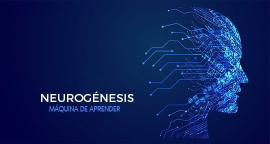 neurogenesis